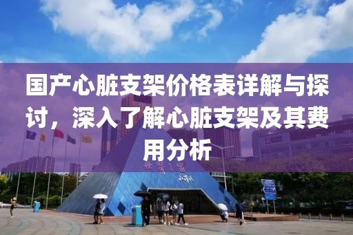 国产心脏支架价格表详解与探讨，深入了解心脏支架及其费用分析