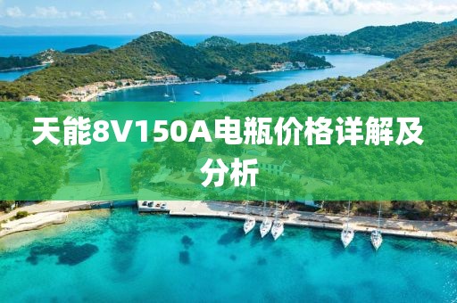 天能8V150A电瓶价格详解及分析