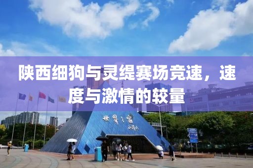 陕西细狗与灵缇赛场竞速，速度与激情的较量