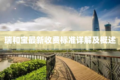 瑞和宝最新收费标准详解及概述