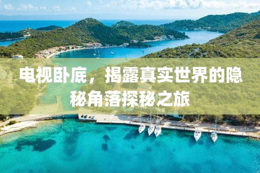 电视卧底，揭露真实世界的隐秘角落探秘之旅