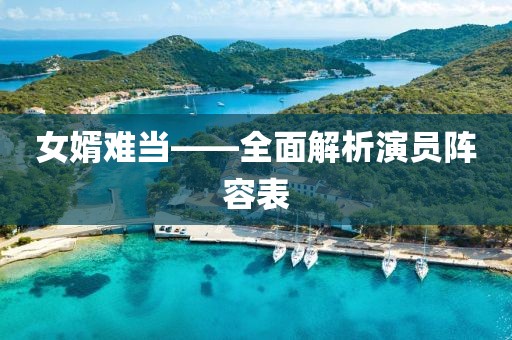 女婿难当——全面解析演员阵容表