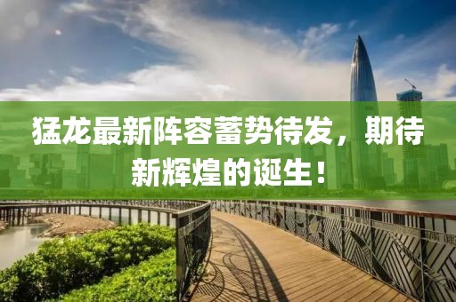猛龙最新阵容蓄势待发，期待新辉煌的诞生！