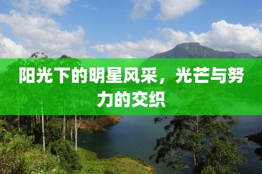 阳光下的明星风采，光芒与努力的交织