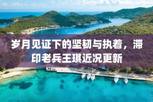 岁月见证下的坚韧与执着，滞印老兵王琪近况更新