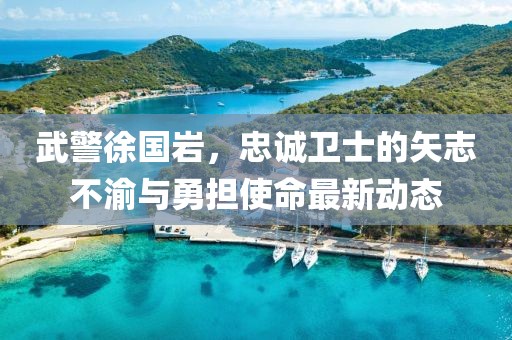 武警徐国岩，忠诚卫士的矢志不渝与勇担使命最新动态