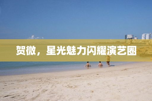 贺微，星光魅力闪耀演艺圈