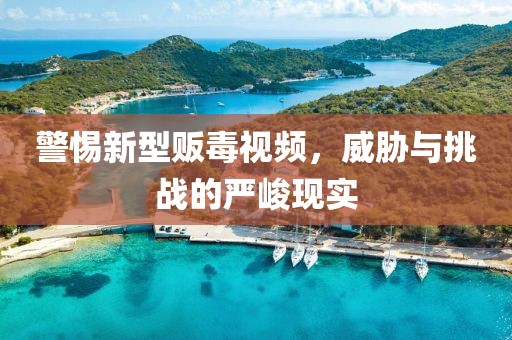 警惕新型贩毒视频，威胁与挑战的严峻现实