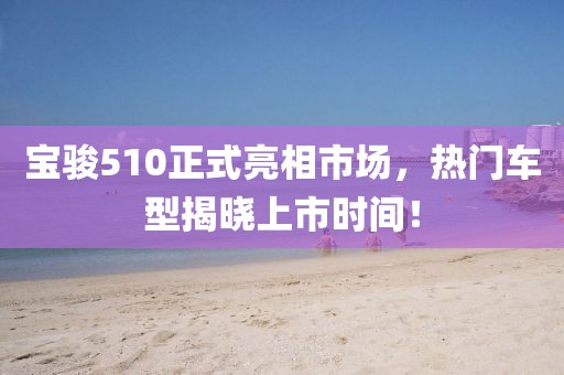 宝骏510正式亮相市场，热门车型揭晓上市时间！