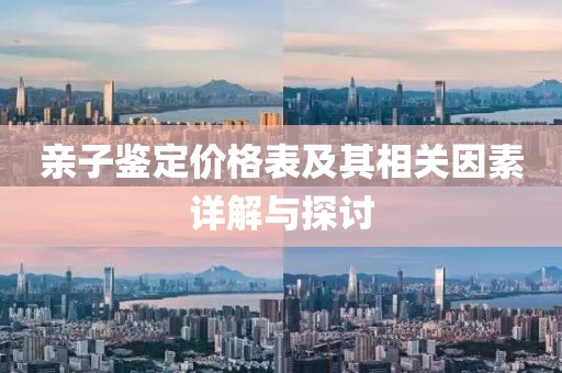 亲子鉴定价格表及其相关因素详解与探讨