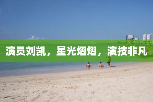 演员刘凯，星光熠熠，演技非凡