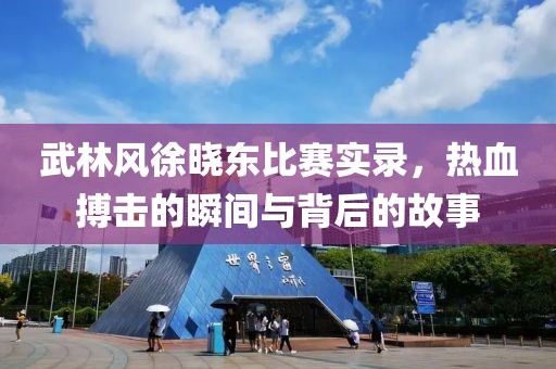 武林风徐晓东比赛实录，热血搏击的瞬间与背后的故事