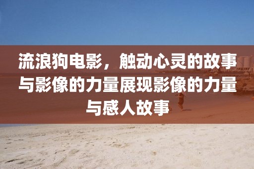 流浪狗电影，触动心灵的故事与影像的力量展现影像的力量与感人故事