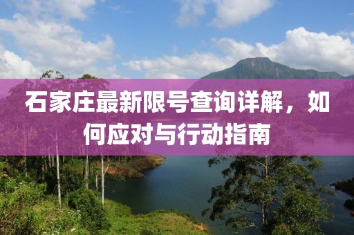 石家庄最新限号查询详解，如何应对与行动指南