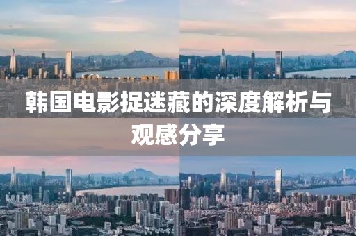 韩国电影捉迷藏的深度解析与观感分享