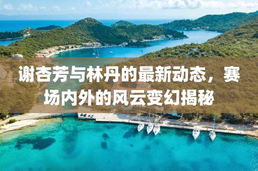 谢杏芳与林丹的最新动态，赛场内外的风云变幻揭秘