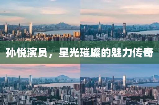 孙悦演员，星光璀璨的魅力传奇