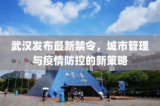 武汉发布最新禁令，城市管理与疫情防控的新策略