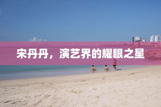 宋丹丹，演艺界的耀眼之星