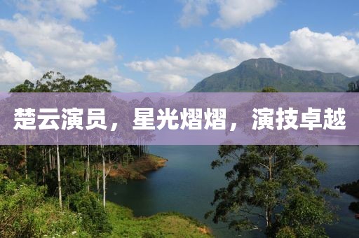楚云演员，星光熠熠，演技卓越