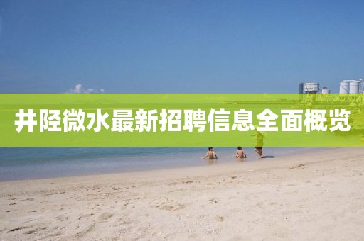 井陉微水最新招聘信息全面概览