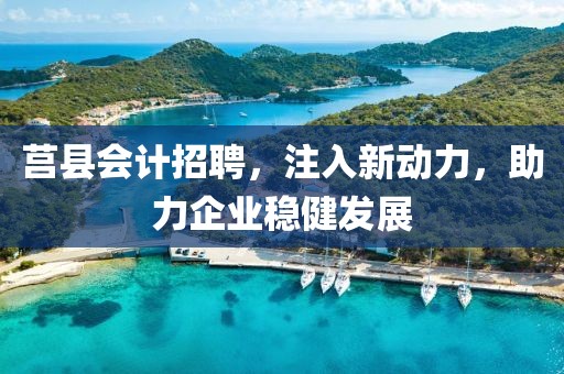 莒县会计招聘，注入新动力，助力企业稳健发展