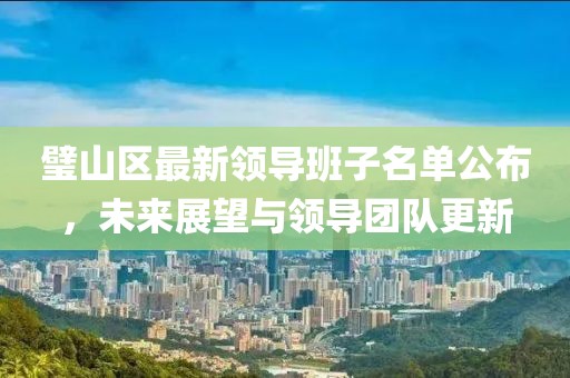 璧山区最新领导班子名单公布，未来展望与领导团队更新