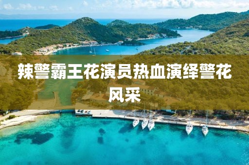 辣警霸王花演员热血演绎警花风采