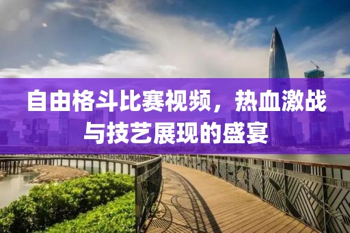 自由格斗比赛视频，热血激战与技艺展现的盛宴