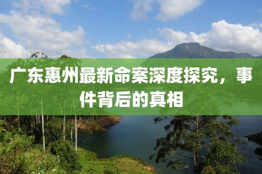 广东惠州最新命案深度探究，事件背后的真相