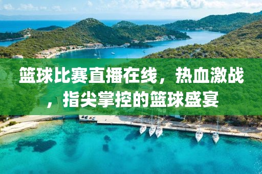 篮球比赛直播在线，热血激战，指尖掌控的篮球盛宴