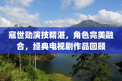 寇世勋演技精湛，角色完美融合，经典电视剧作品回顾