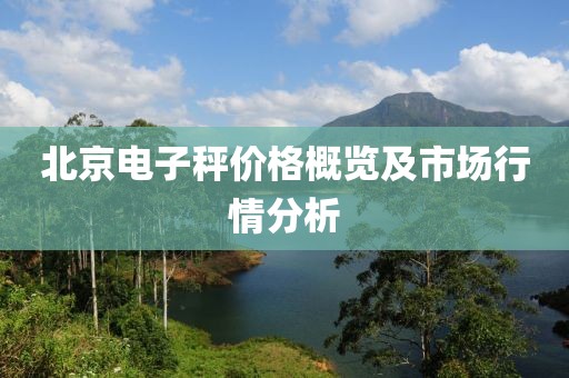 北京电子秤价格概览及市场行情分析