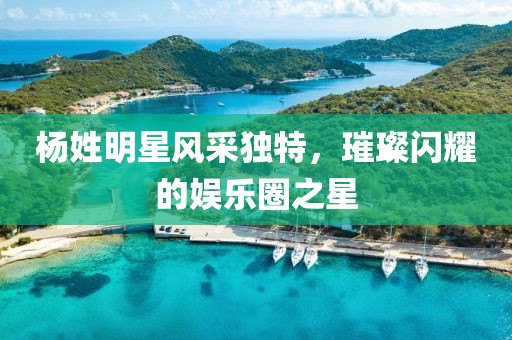 杨姓明星风采独特，璀璨闪耀的娱乐圈之星