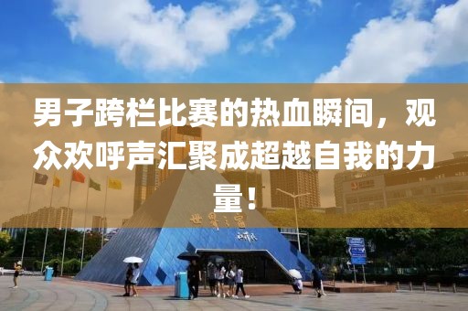 男子跨栏比赛的热血瞬间，观众欢呼声汇聚成超越自我的力量！