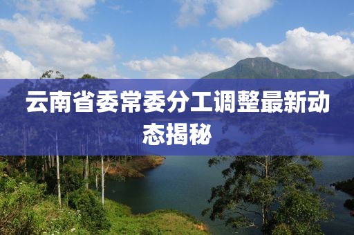 云南省委常委分工调整最新动态揭秘