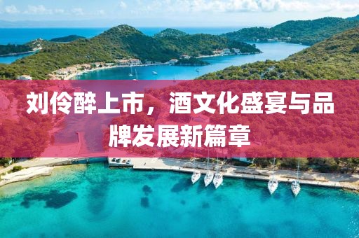 刘伶醉上市，酒文化盛宴与品牌发展新篇章