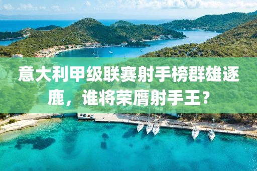 意大利甲级联赛射手榜群雄逐鹿，谁将荣膺射手王？