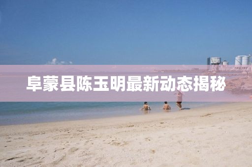 阜蒙县陈玉明最新动态揭秘