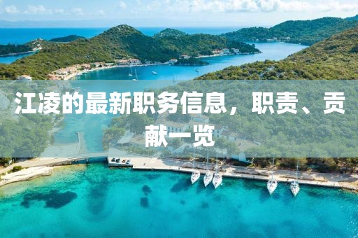 江凌的最新职务信息，职责、贡献一览