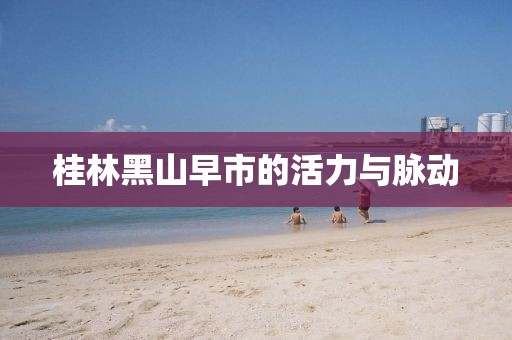 桂林黑山早市的活力与脉动