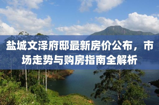 盐城文泽府邸最新房价公布，市场走势与购房指南全解析