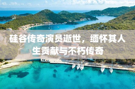 硅谷传奇演员逝世，缅怀其人生贡献与不朽传奇