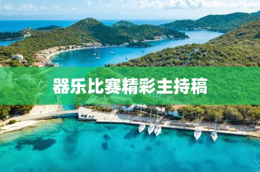 器乐比赛精彩主持稿