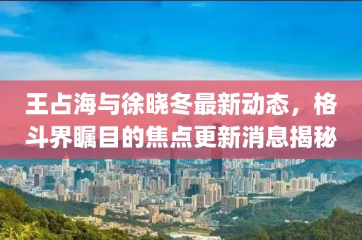 王占海与徐晓冬最新动态，格斗界瞩目的焦点更新消息揭秘