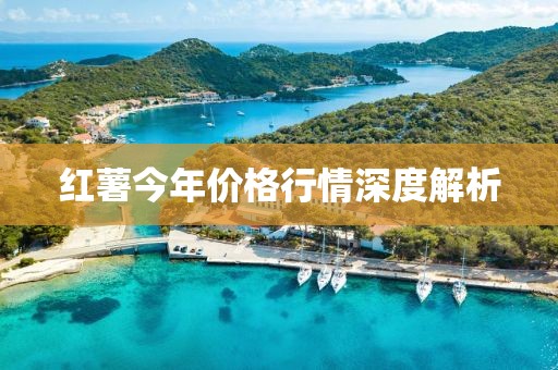红薯今年价格行情深度解析