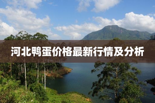 河北鸭蛋价格最新行情及分析
