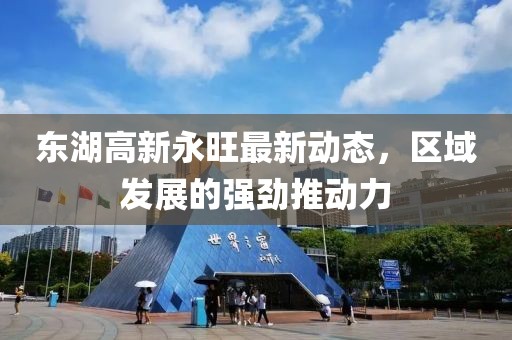 东湖高新永旺最新动态，区域发展的强劲推动力