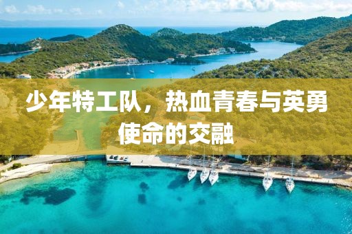 少年特工队，热血青春与英勇使命的交融