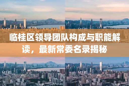 临桂区领导团队构成与职能解读，最新常委名录揭秘